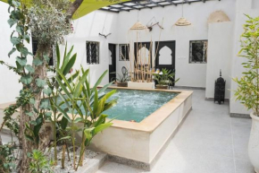 Private Villa halal 2 rooms swimming pool not overlooked